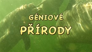 Géniové pírody