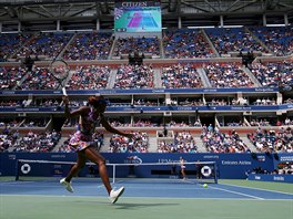 Americk tenistka Venus Williamsov hraje na centrkurtu proti Plkov o...