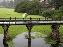 ZELENÉ JEZERO. Mu prochází s detníkem na devném most, který vede pes...