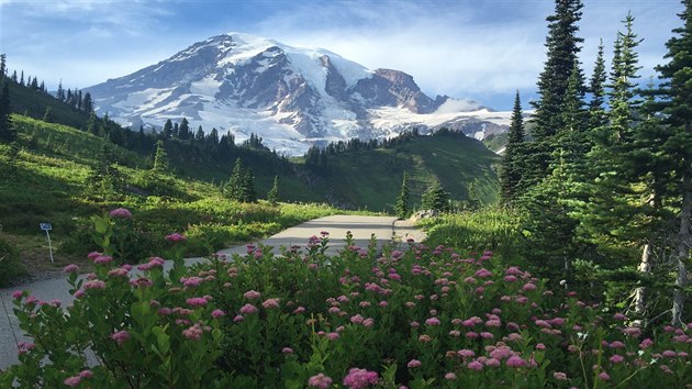 Pohled na Mt. Rainier od historick horsk chaty Paradise Inn. Pipadal jsem si opravdu jako vrji.