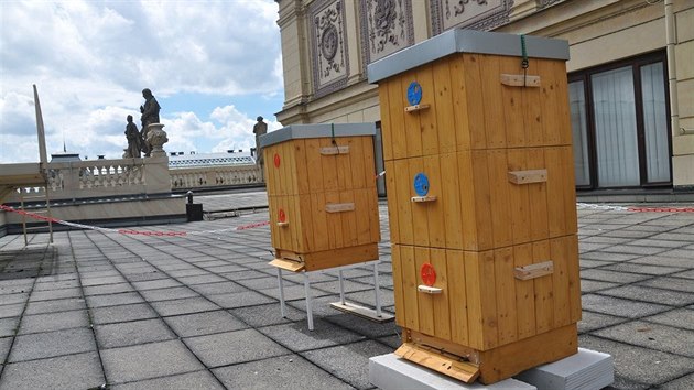 Svoji prvn sezonu maj letos za sebou ly na stee Rudolfina a Cafe Rudolfinum se raduje ze svho prvnho vlastnho medu.