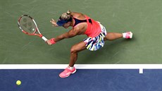 Nmecká tenistka Angelique Kerberová hraje ve tvrtfinále US Open.