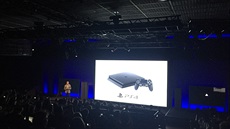 PlayStation Meeting