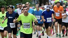 Momentka ze závodu Jizerská 50 Run Momentka ze závodu Jizerská 50 Run