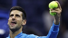 Novak Djokovi slaví postup do semifinále US Open.