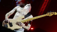 Red Hot Chili Peppers (O2 arena, Praha, 4. záí 2016)