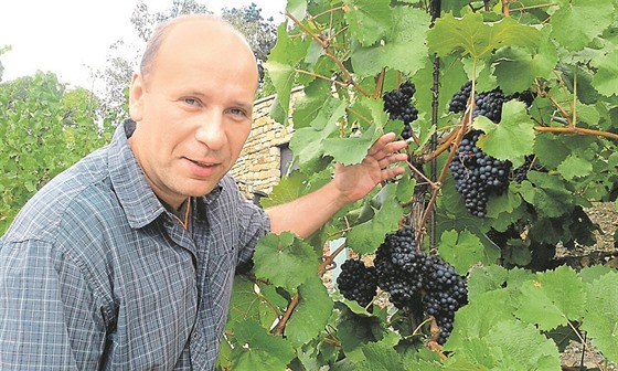 Pavel Bulánek ukazuje víno, které má prozatím jen oznaení MI5-86.