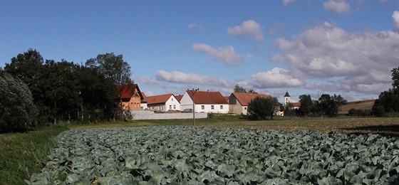 Archeoloka Martina Beková upozoruje na pvodní kamenné ásti staveb zaniklého...