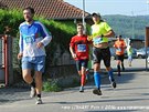 Dne 11.9.2016 proběhl již 4. ročník závodu "Běh městem Mladá Boleslav 2016" na programu byla zařazena i trať o délce 21 km, půlmaraton, který vedl i přes naší obec Kolomuty, kde pár místních diváků účastníky běžeckého závodu podpořilo ..... Dne 11.9.2016 proběhl již 4. ročník závodu "Běh městem Mladá Boleslav 2016" na programu byla zařazena i trať o délce 21 km, půlmaraton, který vedl i přes naší obec Kolomuty, kde pár místních diváků účastníky běžeckého závodu podpořilo .....