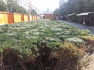Nejen historicke budovy, ale i priroda tvori divy na Vaclavskem namesti. Napriklad v dolni casti je velka pavouci kolonie, ktera vytvorila tuto nadheru. Nejen historicke budovy, ale i priroda tvori divy na Vaclavskem namesti. Napriklad v dolni casti je velka pavouci kolonie, ktera vytvorila tuto nadheru.