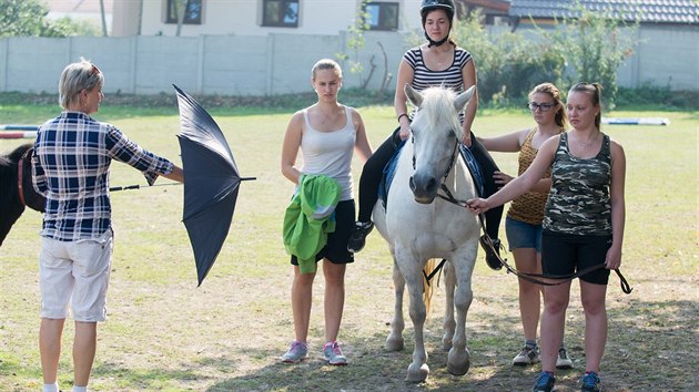 Sprvn vycvienmu koni nesm vadit nic, ani nhle vystelen detnk.