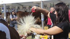 Rozhodovat mohou drobnosti. Zootechnička Petra Hlaváčková z VOD Kámen na... Rozhodovat mohou drobnosti. Zootechnička Petra Hlaváčková z VOD Kámen na...