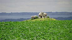 Zaíná to u v Dánsku. Toto je jeden z megalitických dolmen na ostrov...