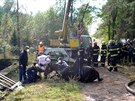 Hasiči drželi koně nad vodou pomocí hadic. Když odčerpali všechnu vodu, vytáhli... Hasiči drželi koně nad vodou pomocí hadic. Když odčerpali všechnu vodu, vytáhli...