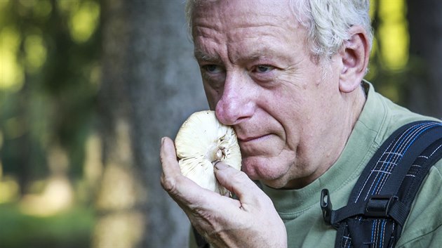 Houby se dají rozpoznat i podle širokého spektra vůní. Když houbař váhá,... Houby se dají rozpoznat i podle širokého spektra vůní. Když houbař váhá,...