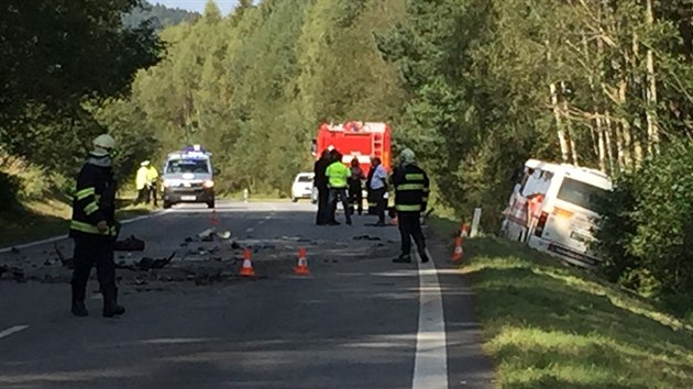 V autobuse cestovalo 31 dt, 11 je lehce zrannch.