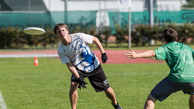 Vesku chyb obrovsk parky, kde by se dalo hrt frisbee.