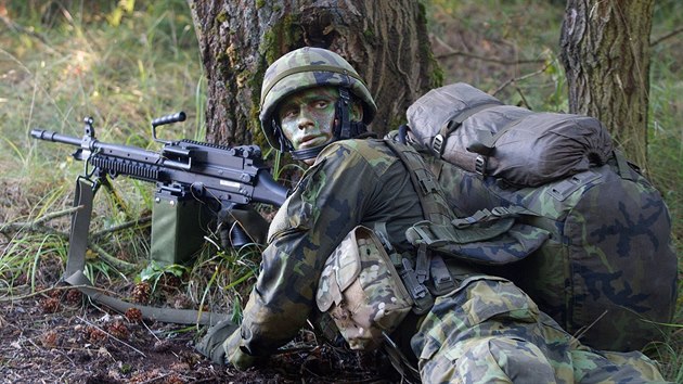 V prostoru bvalho vojenskho letit Ralsko - Hradany se kon ptidenn cvien eskch a americkch vsadk. Jde o nejvt souinnostn vcvik vsadkovho vojska v letonm roce na zem republiky.