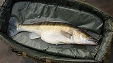 V minulosti opatření nařizující minimální míru nástražní rybičky 20 cm platilo... V minulosti opatření nařizující minimální míru nástražní rybičky 20 cm platilo...
