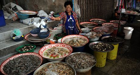 Krom ivých krevet nabízejí thajské ulice tyto pochoutky samozejm i v...