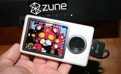 Microsoft Zune - picture display celek