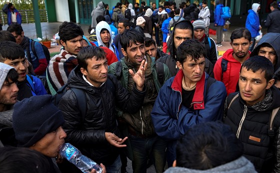 Uprchlíci, kteí v úterý vyrazili pky z Blehradu k maarské hranici, se pod...
