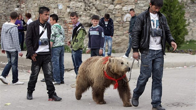 V ulicch albnskho Elbasanu se mohli turist za dv eura vyfotit s medvdem hndm. Snmek pochz z roku 2011.