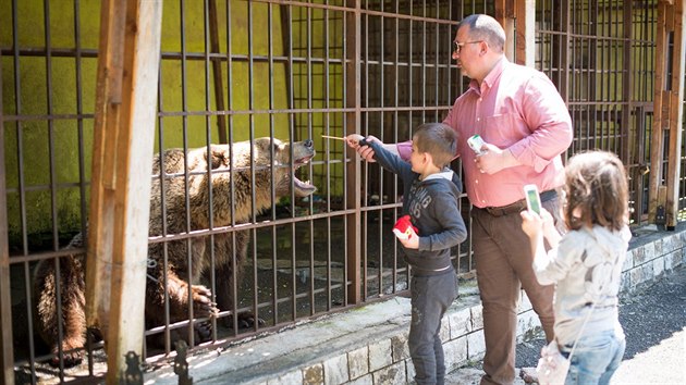 Destky hndch medvd zavench v klecch i uvznnch v etzech slou v Albnii k pobaven turist nebo host v restauracch.