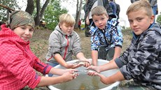 Několik desítek jeseterů bylo za asistence školáků vypuštěno u zámečku Pohansko... Několik desítek jeseterů bylo za asistence školáků vypuštěno u zámečku Pohansko...