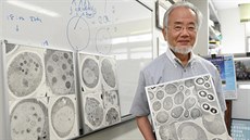 Jošinori Ósumi na fotografii z letošního července v prostorách své laboratoře v... Jošinori Ósumi na fotografii z letošního července v prostorách své laboratoře v...