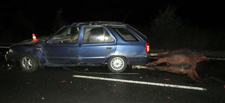 Celkový pohled na nehodu osobního automobilu s konm v Hladkých ivoticích na...