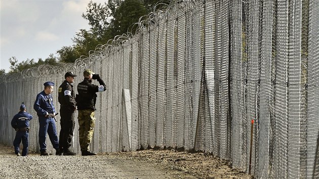 Polsk hldka doprovz maarskou policii u plotu na hranicch Srbska a Maarska. (13.10.2016)