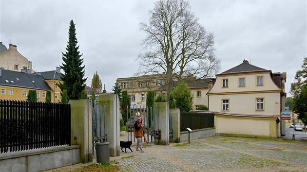 Ještě před několika měsíci byl strom, který přes sto let stojí v blízkosti Liebiegova zámečku, zdravý.