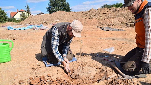 Archeologov pi vykopvkch ve Hvozdnici na Hradecku.