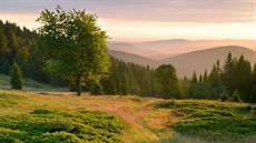 Práily-Zelená hora v Národním parku umava