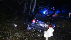 Řidič v Jílovém u Prahy nepřežil náraz do stromu (13.10.2016). Řidič v Jílovém u Prahy nepřežil náraz do stromu (13.10.2016).