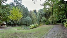 Lobezský park v Plzni před revitalizací. (17. října 2016) Lobezský park v Plzni před revitalizací. (17. října 2016)