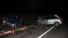 Mladá dvojice z modrého vozu Ford Escort nehodu nepřežila. Mladá dvojice z modrého vozu Ford Escort nehodu nepřežila.
