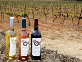 Ticetihektarová vinice produkuje prvotídní víno Chateau Miraval....
