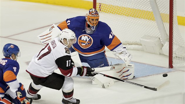 Jaroslav Halk v brance NY Islanders sleduje zakonen Radima Vrbaty z Arizony.