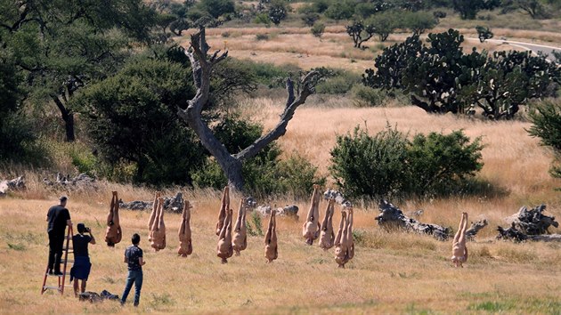 Americk umlec Spencer Tunick fot mexick nahe postaven hlavu. Protestuje tak proti rtorice Donalda Trumpa (28. jna 2016)