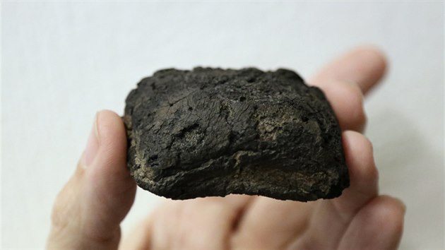 Archeologov v Brn nali v zemi dva kusy zuhelnatlho peiva ze 13. a 14. stolet.