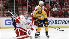 Obránce Detroitu Brendan Smith přistrkuje Colina Wilsona z Nashvillu. Na puk se... Obránce Detroitu Brendan Smith přistrkuje Colina Wilsona z Nashvillu. Na puk se...