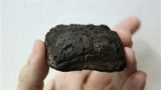 Archeologové v Brn nali v zemi dva kusy zuhelnatlého peiva ze 13. a 14....