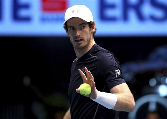 Andy Murray bhem finále Erse Bank Open.