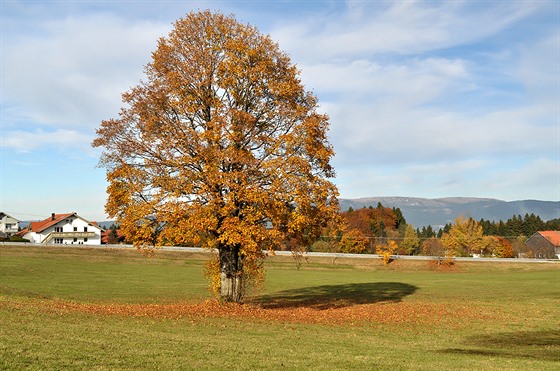 Idylka jak má být. Nad obcí Altreichenau