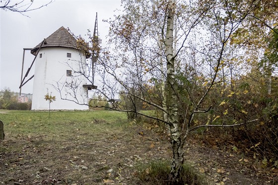 Nejvtí ze tí bíz ojcovských v ji vyitném prostoru u skanzenu Stará Ves...