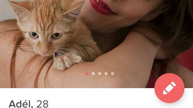 Ukzky koich profil na Tinderu