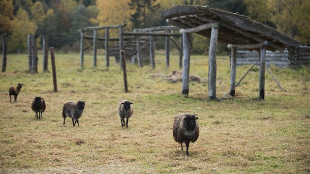 Prvn st dokonen keltsk vesnice v Nasavrkch na Chrudimsku pivt 5. listopadu prvn nvtvnky. Dal stavby ve skanzenu chtj nadenci dokonit do jara.