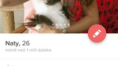 Ukázky kočičích profilů na Tinderu Ukázky kočičích profilů na Tinderu